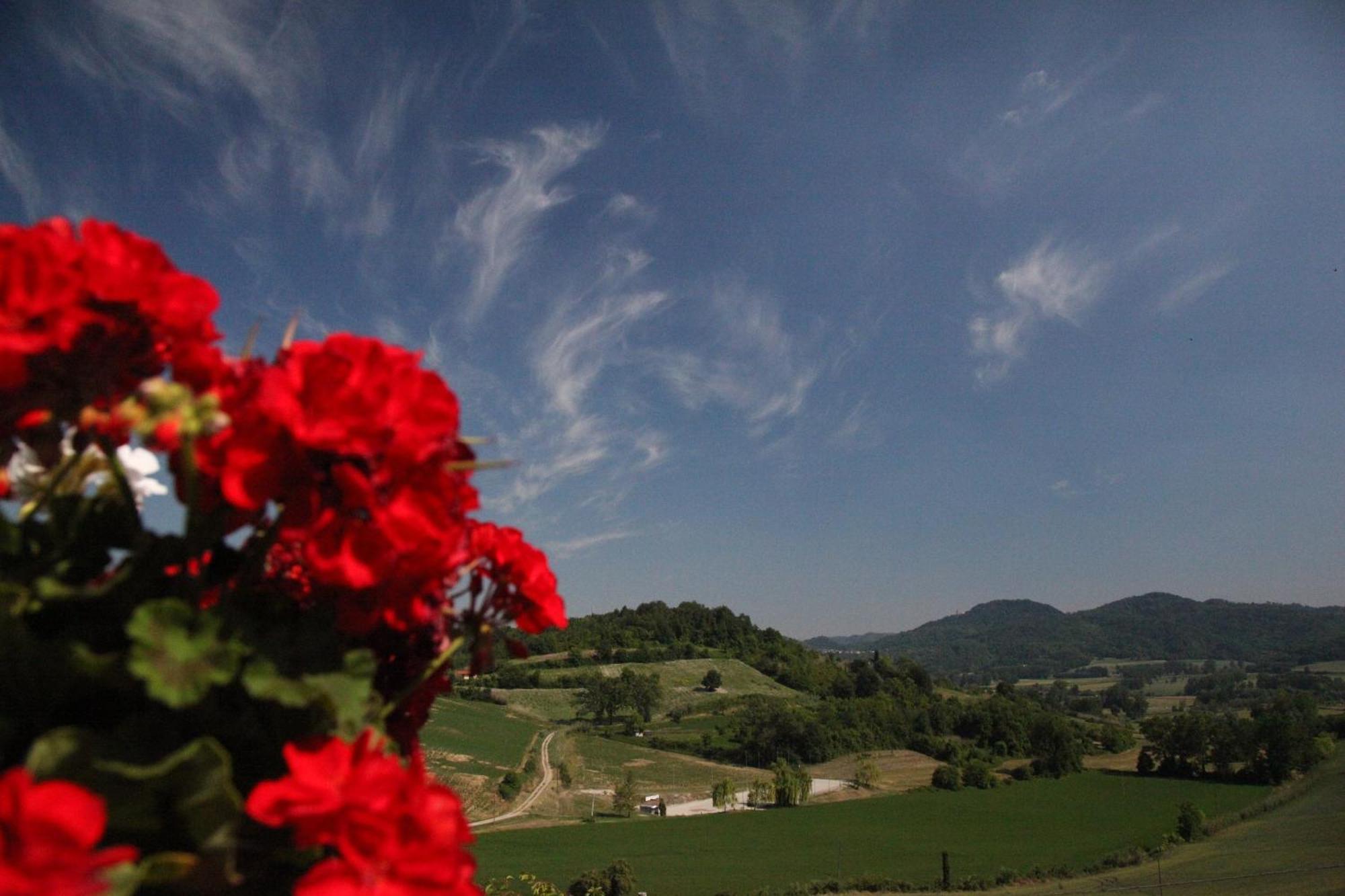 Palazzo Tornielli Bed & Breakfast Mombello Monferrato Exterior photo